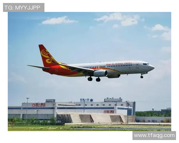 泾川足球明星的璀璨星光与他们的辉煌成就回顾